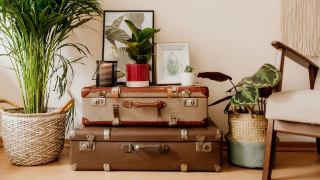 Η ΤΑΣΗ URBAN JUNGLE  ΣΤΟ ΣΠΙΤΙ ΣΑΣ