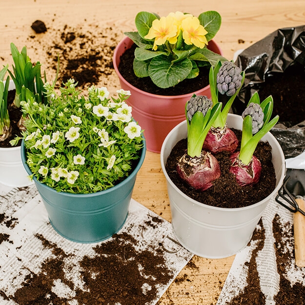 ΒΑΛΤΕ ΧΡΩΜΑΤΑ