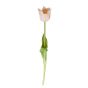 FLORISTA - τουλίπα 45cm, ανοιχτό ροζ