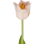 FLORISTA - τουλίπα 45cm, ανοιχτό ροζ