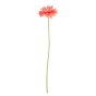 FLORISTA - ζέρμπερα 62cm, πορτοκαλί