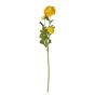 FLORISTA - νεραγκούλα 63cm, κίτρινη