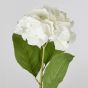 FLORISTA - ορτανσία 62cm, λευκή