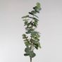 FLORISTA - ευκάλυπτος 88cm