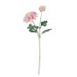FLORISTA - ντάλια 55cm, ροζ