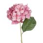 FLORISTA - ορτανσία 70cm, σκούρο ροζ