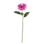 FLORISTA - ντάλια 68cm, berry