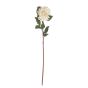 FLORISTA - διακοσμητικό φυτό ντάλια 80cm, λευκό