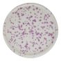 BOOGY SPLASH - πιάτο κεραμικό πρωινού 21cm, μωβ