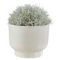 PLANT BOWL - κασπό κεραμικό 21cm, λευκό
