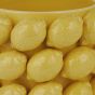 LEMON - κασπό κεραμικό με διακοσμητικά λεμόνια 19cm
