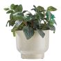 PLANT BOWL - κασπό κεραμικό 17cm, λευκό