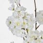 FLORISTA - κλαδί με άνθη κερασιάς 116cm, λευκό