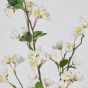 FLORISTA - κλαδί με άνθη κερασιάς, λευκό