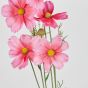 FLORISTA - galsang 78cm, ροζ