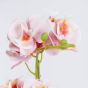 FLORISTA - ορχιδέα με γλαστράκι Υ51cm, ανοιχτό πορτοκαλί