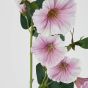 FLORISTA - ιπομοία 76cm, ανοιχτό ροζ