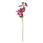 FLORISTA - ιπομοία 76cm, σκούρο ροζ