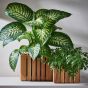 NEW GARDENING - κασπό/γλάστρες από ξύλο σετ 3 τεμαχίων