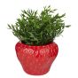 STRAWBERRY - κασπό κεραμικό 17cm, κόκκινο