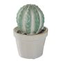 CACTUS - διακοσμητικό 'κάκτος', ανοιχτό πράσινο