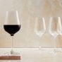 SANTE - ποτήρι για κόκκινο κρασί, 480ml