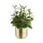 PLANTA - κασπό με διακοσμητική χάραξη Δ18cm, χρυσό