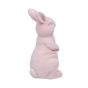EASTER - Πασχαλινό διακοσμητικό λαγουδάκι 15cm, ροζ