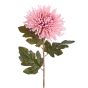 FLORISTA - χρυσάνθεμο 73cm, ροζ