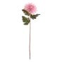 FLORISTA - χρυσάνθεμο 73cm, ροζ