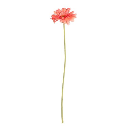 FLORISTA - ζέρμπερα 62cm, πορτοκαλί