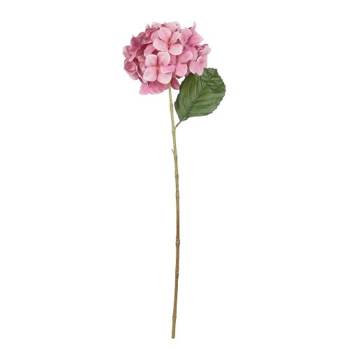 FLORISTA - ορτανσία 70cm, σκούρο ροζ