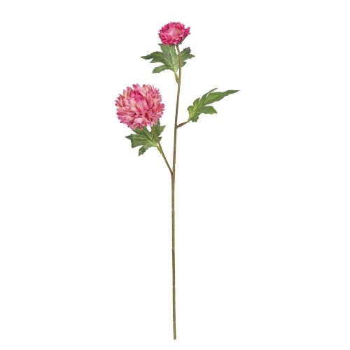 FLORISTA - χρυσάνθεμο, φούξια