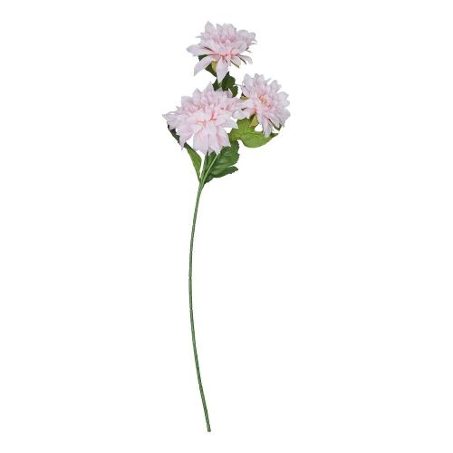 FLORISTA - ντάλια, ανοιχτό ροζ