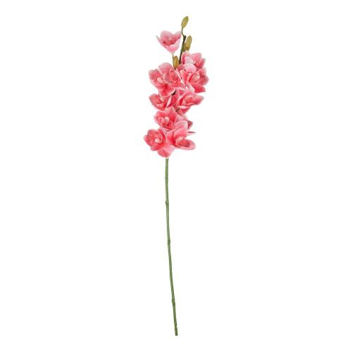 FLORISTA - γλαδιόλα 75cm, ροζ
