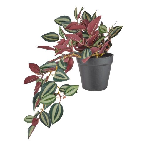 FLORISTA - πεπερόμια 44cm