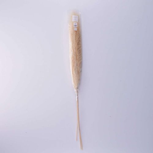 FLORISTA - Pampas γρασίδι 115cm 3τμχ