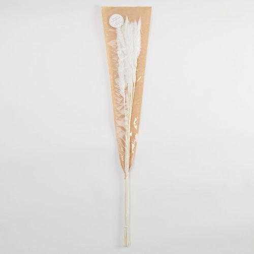 FLOWER MARKET - γρασίδι Pampas, κρεμ