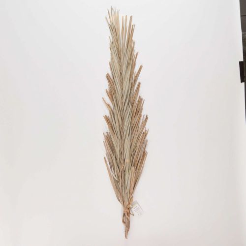 FLOWER MARKET - φύλλα Khajur 2 τεμάχια, ανοιχτό γκρι