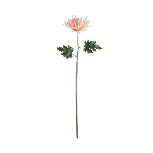FLORISTA - χρυσάνθεμο 68cm, ροζ