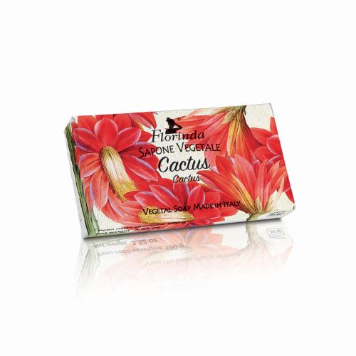 LA DISPENSA - φυτικό σαπούνι 100gr SOAPS CACTUS