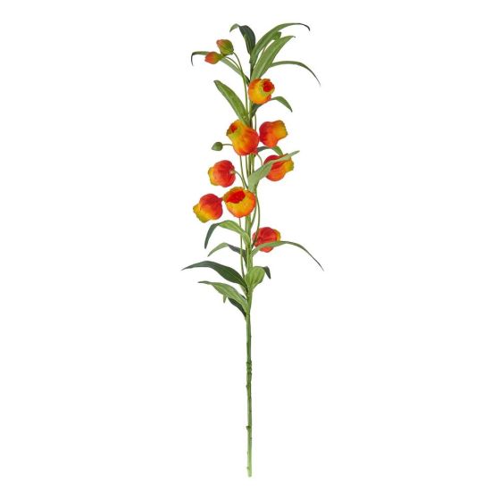 FLORISTA - σαντερσόνια 90cm, πορτοκαλί