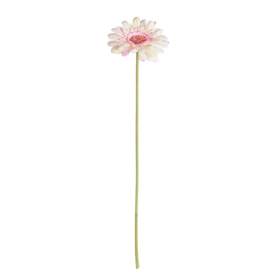 FLORISTA - ζέρμπερα 62cm, ροζ