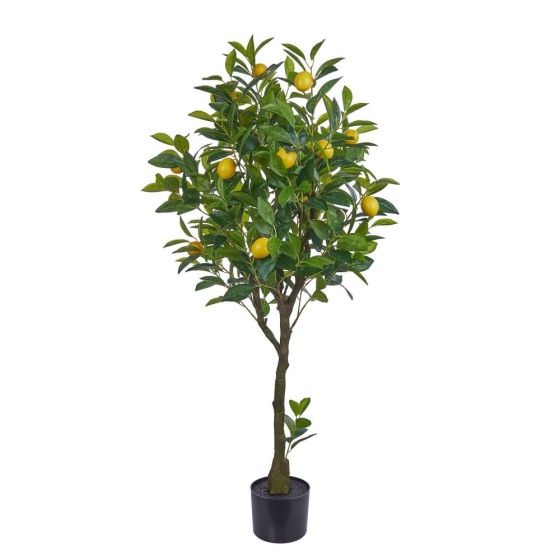 FLORISTA - λεμονιά 115cm