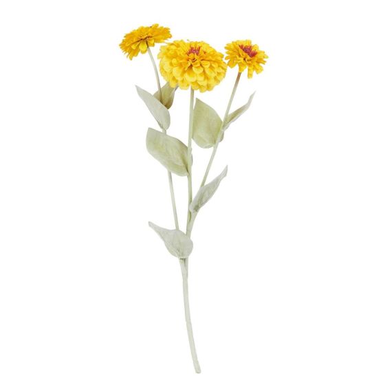 FLORISTA - ζίννια 50cm, κίτρινο