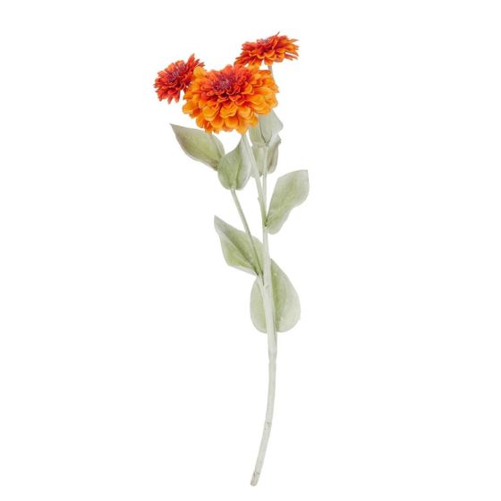 FLORISTA - ζίννια 50cm, πορτοκαλί