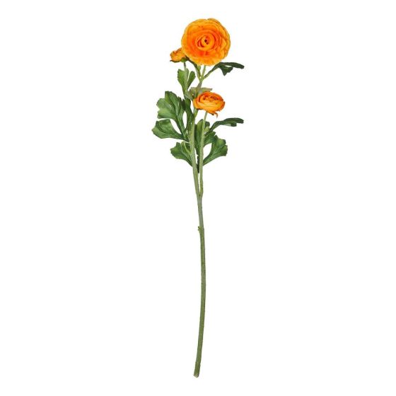 FLORISTA - νεραγκούλα 63cm, πορτοκαλί