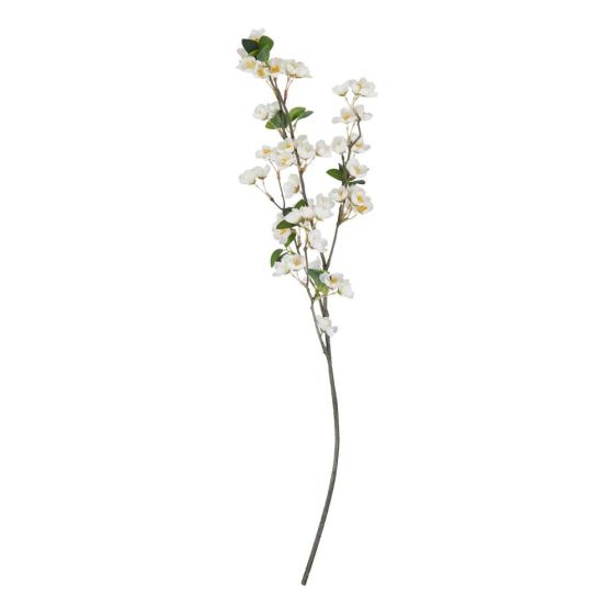 FLORISTA - κλαδί με άνθη κερασιάς, λευκό