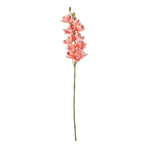 FLORISTA - γλαδιόλα 75cm, πορτοκαλί