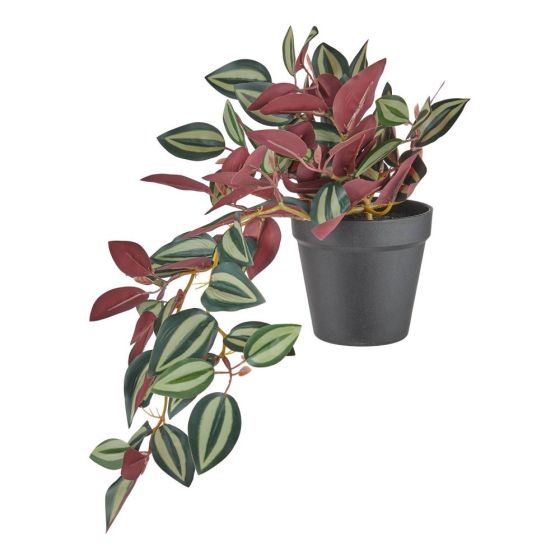 FLORISTA - πεπερόμια 44cm